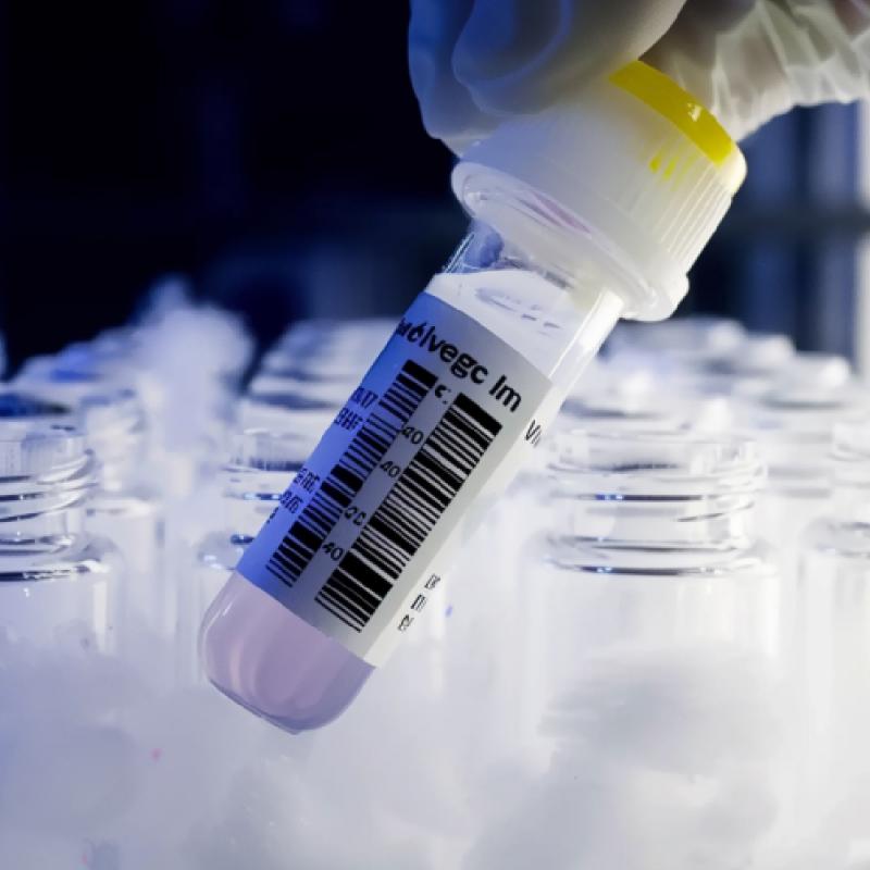 温度反応ラベル